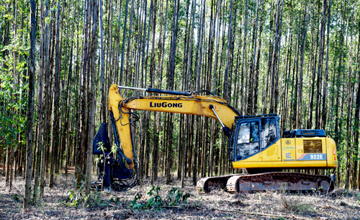 林場(chǎng)作業(yè) 柳工設(shè)備揮灑自如——柳工拉美市場(chǎng)系列報(bào)道之一