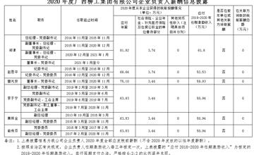 2020年度廣西柳工集團(tuán)有限公司企業(yè)負(fù)責(zé)人薪酬信息披露